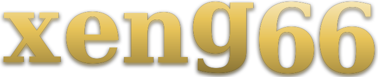 xeng66 logo